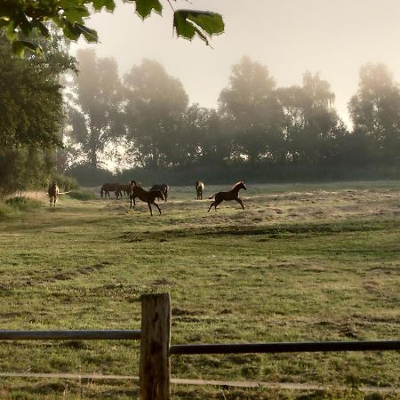 Kleenes Haffhus Ueckermünde Exteriér fotografie