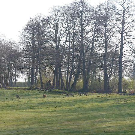 Kleenes Haffhus Ueckermünde Exteriér fotografie