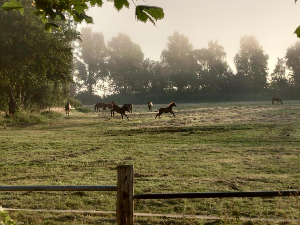 Kleenes Haffhus Ueckermünde Exteriér fotografie