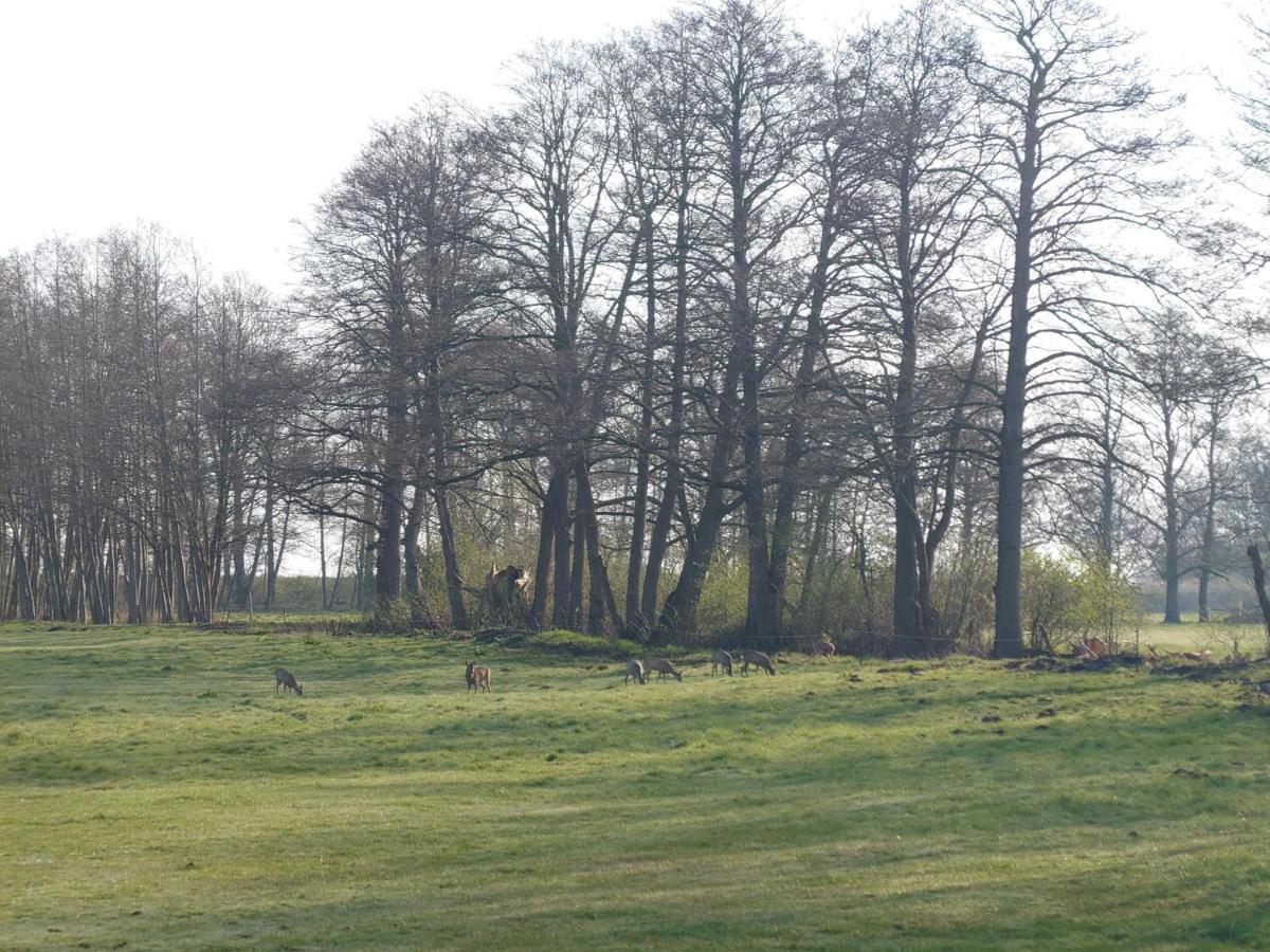 Kleenes Haffhus Ueckermünde Exteriér fotografie